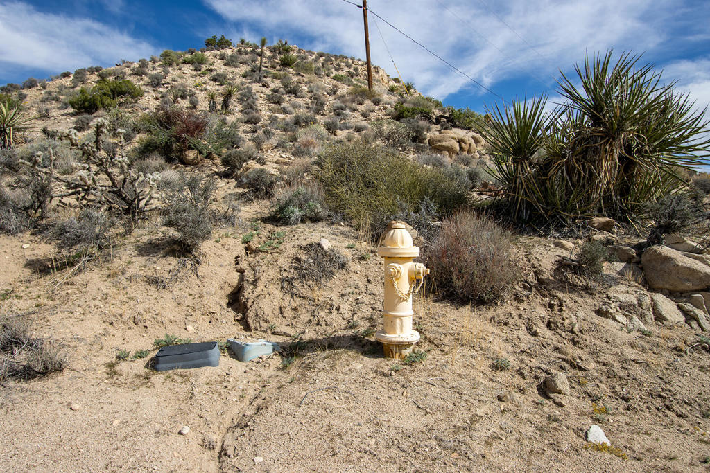 MLS #219138040PS image #12