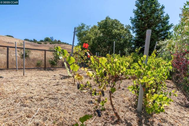 127 Devin Dr, Moraga CA: https://media.crmls.org/mediaz/e1112a06-b406-4e59-9f7b-c1c8d99da6a6.jpg