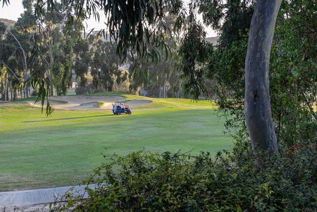 14479 Emerald Lane, Rancho Santa Fe CA: https://media.crmls.org/mediaz/e1127664-2bf9-44e0-b364-516e37c90276.jpg