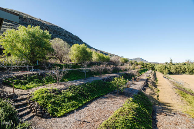 Detail Gallery Image 28 of 75 For 11666 Santa Rosa Rd, Camarillo,  CA 93012 - 10 Beds | 4/2 Baths