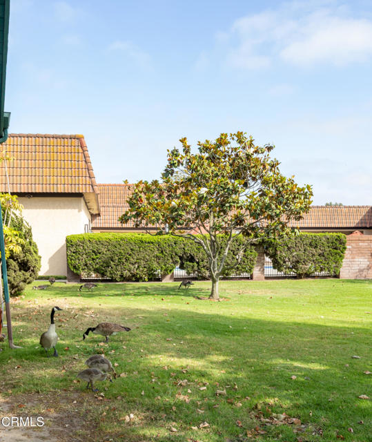 2491 Apple Lane, Oxnard CA: https://media.crmls.org/mediaz/e1136332-3987-4c1b-b703-b04480c47667.jpg