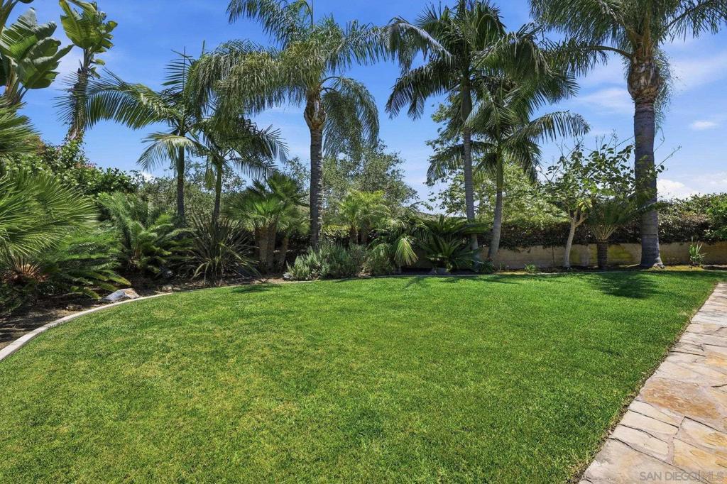 6154 Paseo Palero - photo 14