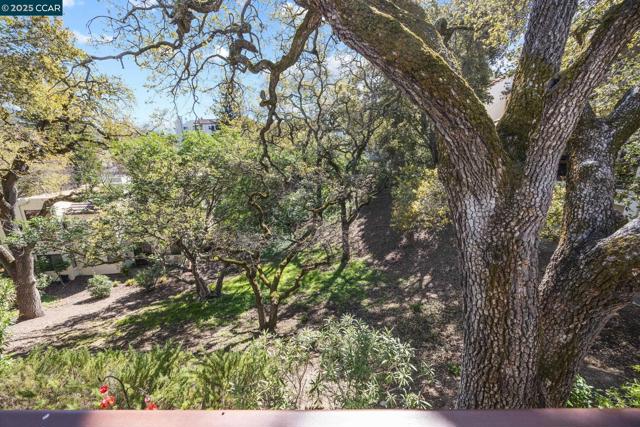 3800 Terra Granada Dr, Walnut Creek CA: https://media.crmls.org/mediaz/e12f670e-3c32-4207-b380-1e3b902dd95b.jpg