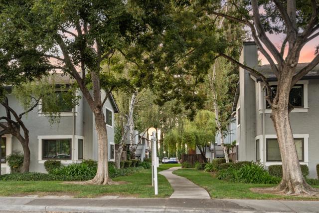 556 Quail Bush Court, San Jose CA: https://media.crmls.org/mediaz/e130da7d-1dee-432c-b276-fb0595f54182.jpg