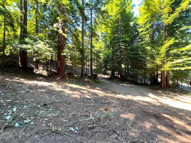 0 E Hilton, Boulder Creek CA: https://media.crmls.org/mediaz/e133a5ed-6bca-4432-b170-d89316d02381.jpg