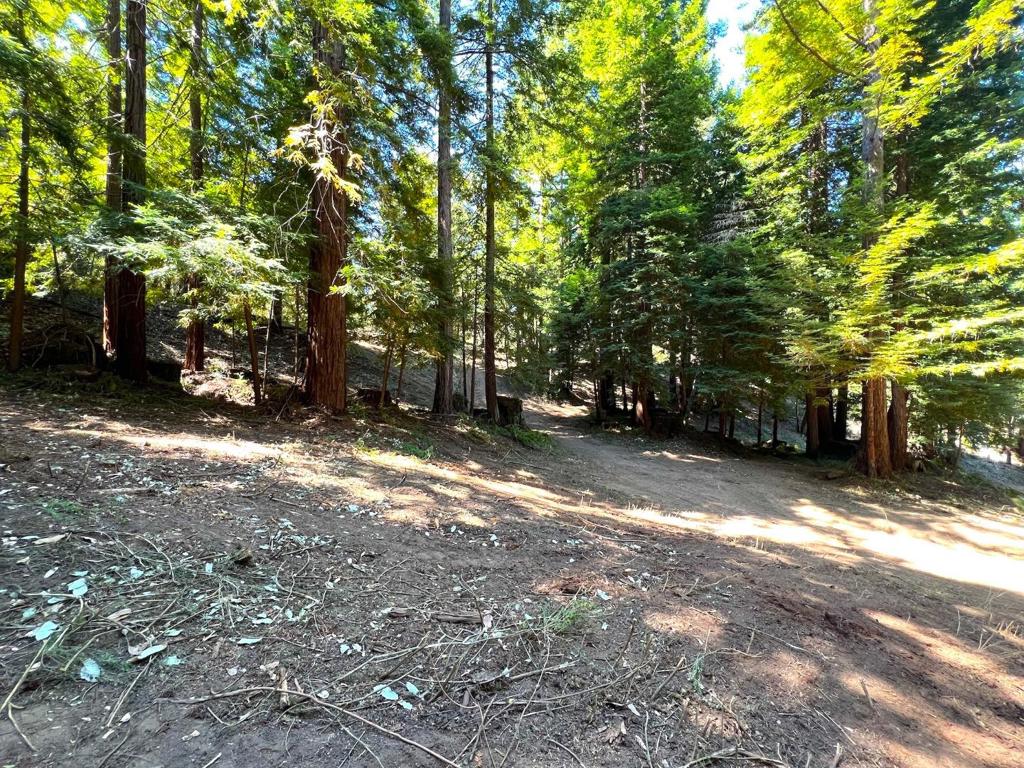 MLS #ML81973209 image #36