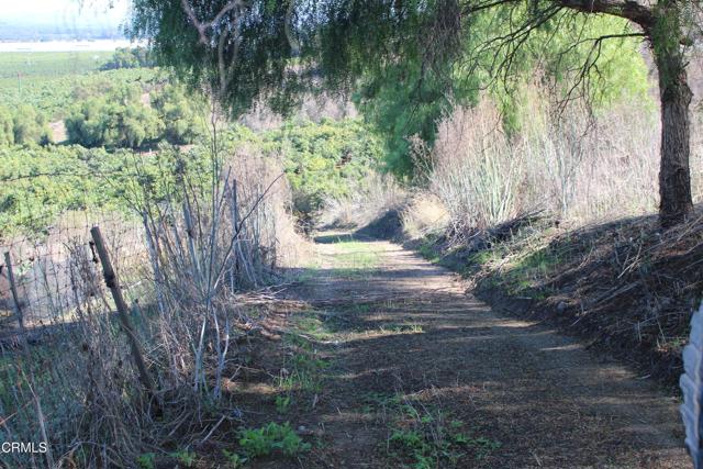 Detail Gallery Image 19 of 32 For 1672 E Los Angeles Ave, Somis,  CA 93066 - – Beds | – Baths