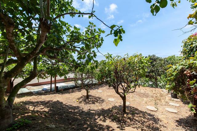 3428 Quimby St, San Diego CA: https://media.crmls.org/mediaz/e13e7bff-ad43-40fd-a36a-34f99a5117e4.jpg