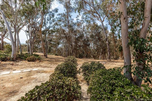 2708 Grove Ave, Carlsbad CA: https://media.crmls.org/mediaz/e141aa63-e97a-453b-b034-2a5172f168cd.jpg