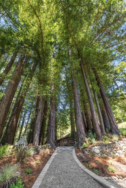 23110 Old Santa Cruz Highway, Los Gatos CA: https://media.crmls.org/mediaz/e146bde3-0e38-4962-9f14-18c5e7694610.jpg