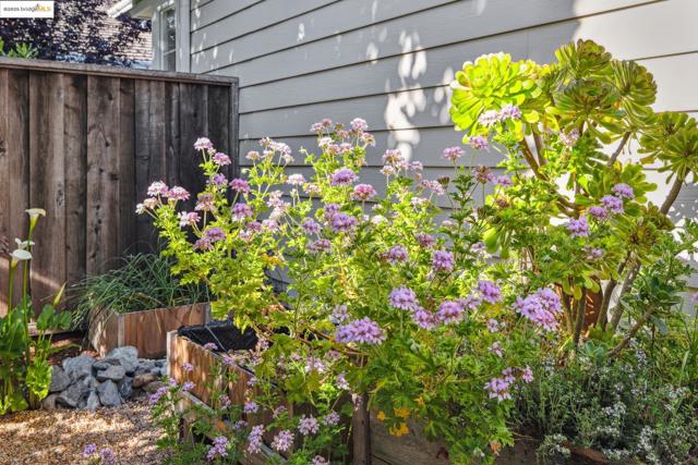26 Farallon Ct, Richmond CA: https://media.crmls.org/mediaz/e1481665-f948-4929-be9d-75c347d3247d.jpg