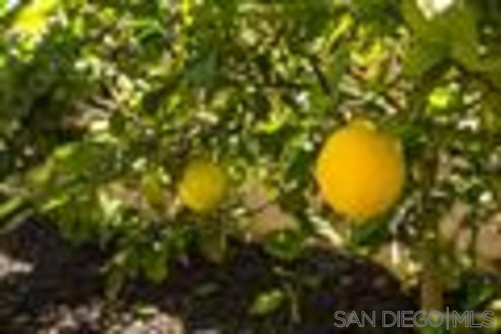 MLS #250030585SD img 12