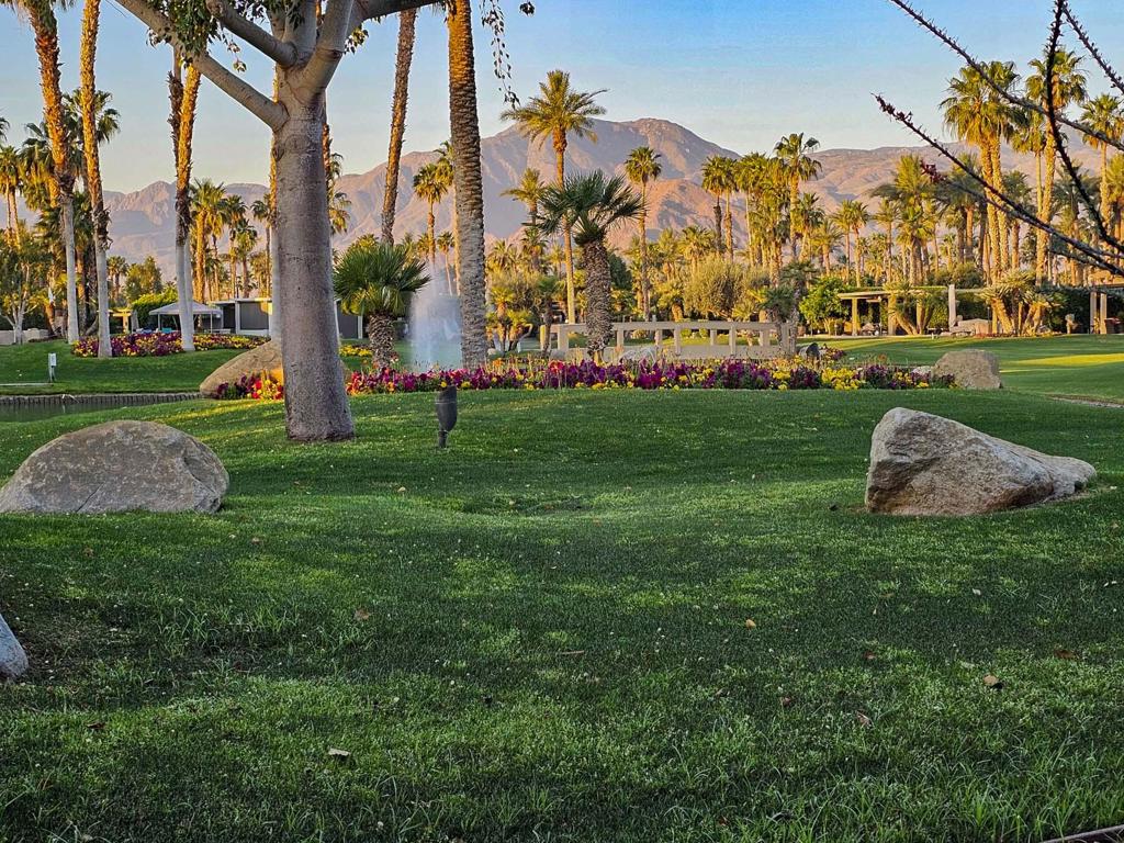 MLS #219139944DA image #1