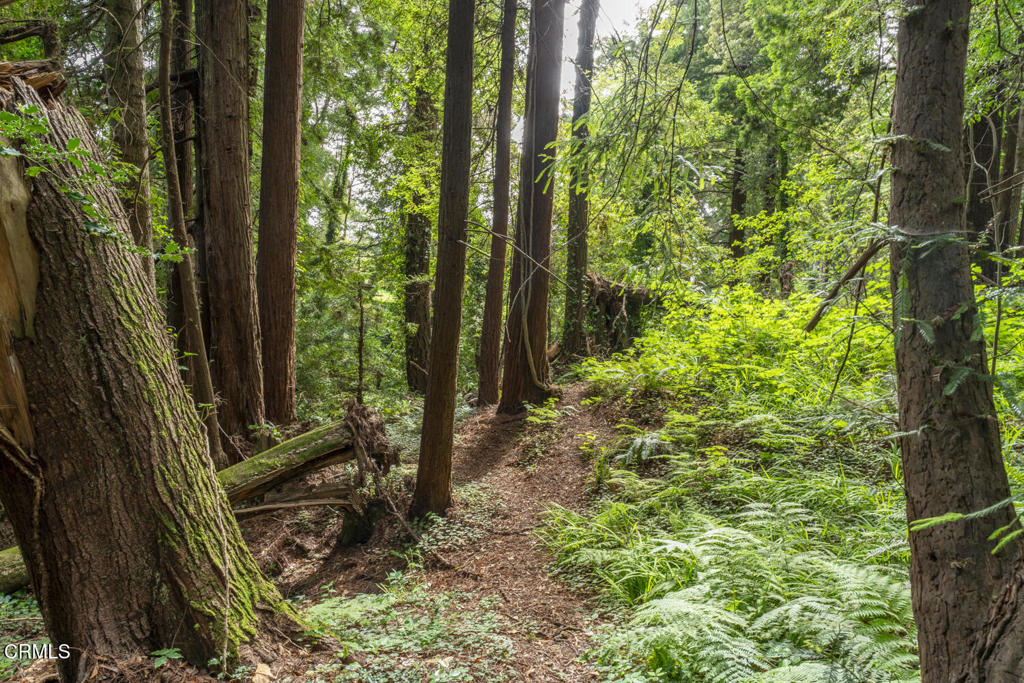 https://media.crmls.org/mediaz/e1651d5d-4de2-4bb7-a235-3a784f0068b3.jpg?preset=X-Large