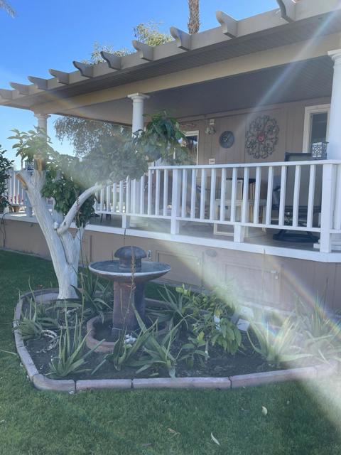 81620 Avenue 49, Indio CA: https://media.crmls.org/mediaz/e16966b6-0d8f-431a-9d88-237bfc231f63.jpg