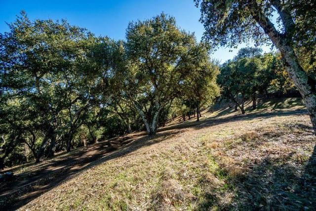 17114 Cachagua Road, Carmel Valley CA: https://media.crmls.org/mediaz/e17d72f7-5c82-45c8-9e58-d02c261a77b4.jpg