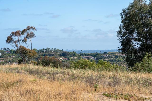 6207 Calle Ponte Bella, Rancho Santa Fe CA: https://media.crmls.org/mediaz/e1863ba5-7885-48c6-9900-835f25d7a631.jpg