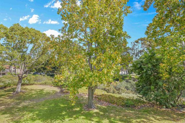 Detail Gallery Image 11 of 16 For 1982 Fairlee Dr, Encinitas,  CA 92024 - 2 Beds | 2 Baths