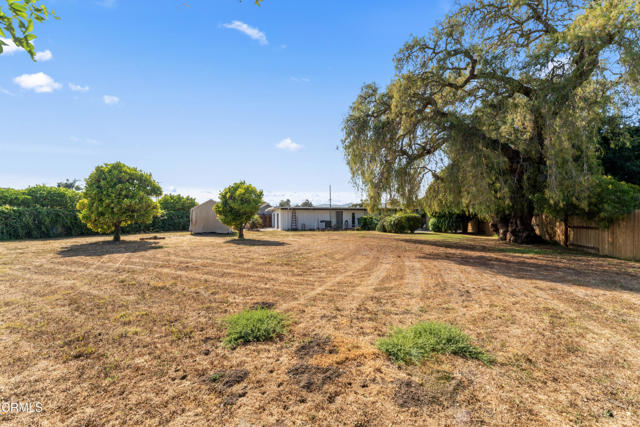 796 S Saticoy Avenue, Ventura CA: https://media.crmls.org/mediaz/e1a56a7c-f9e3-4343-ab3c-e1d940433276.jpg