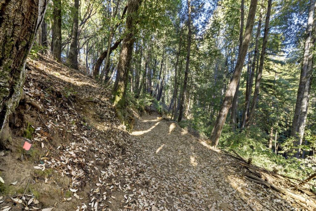 MLS #ML81986063 image #5