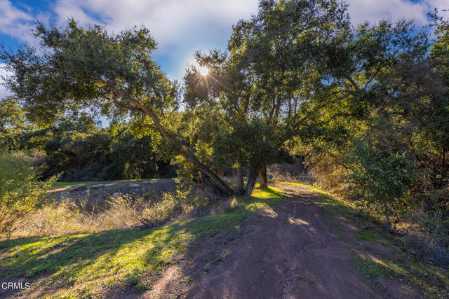 380 Valley View Road, Ojai CA: https://media.crmls.org/mediaz/e1cc29fa-9c42-450f-aee4-3cf1488668af.jpg