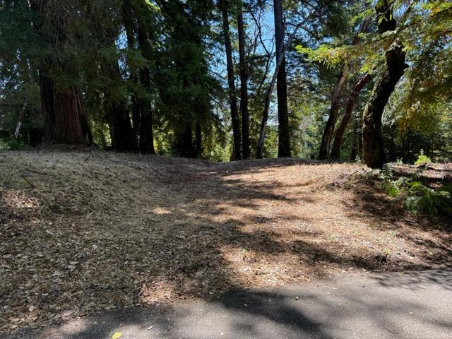 0 Debbie, Los Gatos CA: https://media.crmls.org/mediaz/e1d39981-eebc-4303-9b11-71d328c1757b.jpg