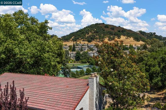 4033 Terra Granada Dr, Walnut Creek CA: https://media.crmls.org/mediaz/e1d77eac-e654-4707-9aa3-2e91838788de.jpg