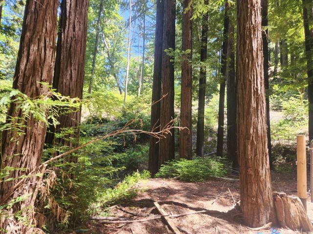 0 Lost Valley, Los Gatos CA: https://media.crmls.org/mediaz/e1d8ae6b-d4ee-43f8-95a1-75f16382f76c.jpg