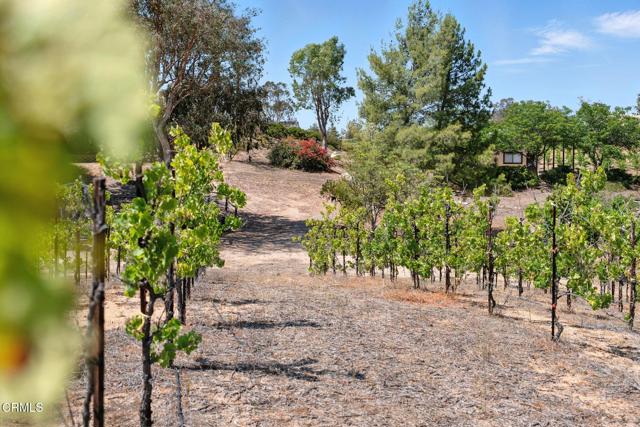 38470 Ave De La Bandolero, Temecula CA: https://media.crmls.org/mediaz/e1dbfe53-b906-47b8-adea-fe7f1c934a51.jpg