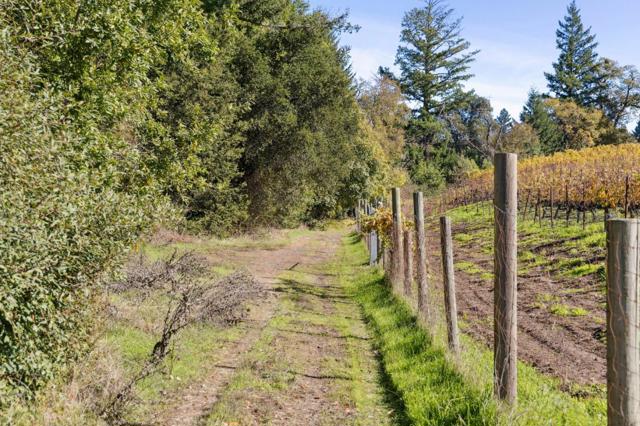 19089 Skyline Boulevard, Los Gatos CA: https://media.crmls.org/mediaz/e1e55b8a-c4e7-40aa-8217-594e5802a6d1.jpg