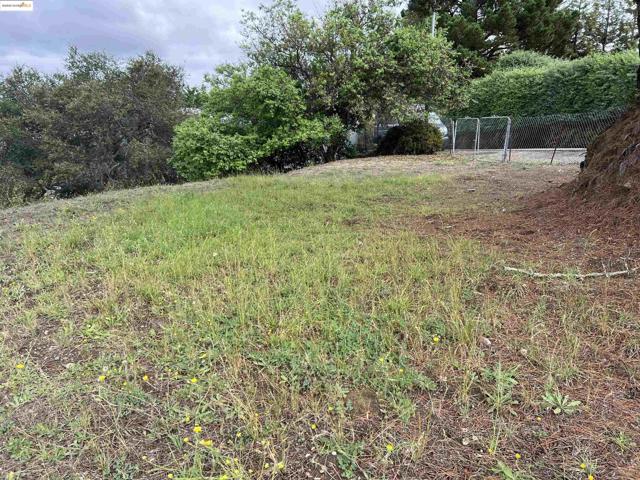 View of yard with view of wooded area