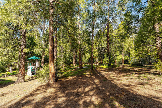54820 Fern Drive, Idyllwild CA: https://media.crmls.org/mediaz/e1ebe739-8e22-4f06-aeb2-7de1762fbc1f.jpg