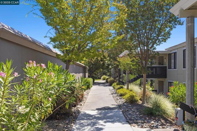 2101 Golden Rain, Walnut Creek CA: https://media.crmls.org/mediaz/e1f439b2-838c-46a2-a67d-dd479f292f37.jpg
