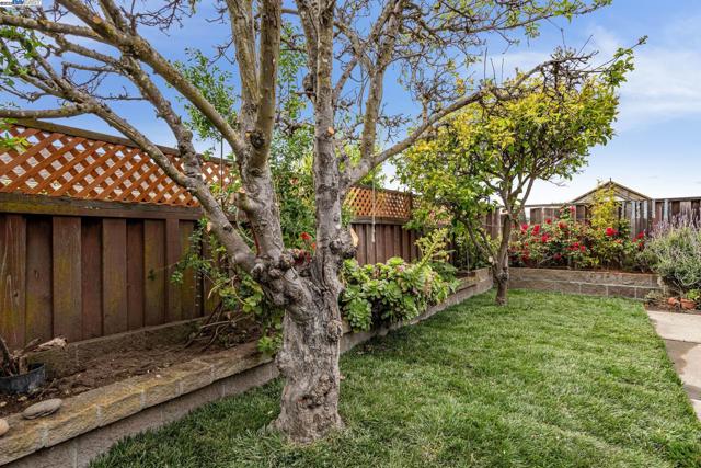 413 Grand St, Alameda CA: https://media.crmls.org/mediaz/e209b06a-2bef-41ab-a1b9-6d84ed85f3eb.jpg