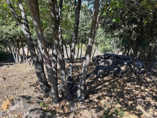 17099 Iron Springs Rd, Julian CA: https://media.crmls.org/mediaz/e20a60cd-dc29-4cf8-b130-a8b83e64b7a4.jpg