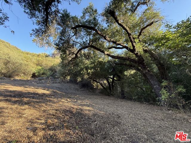 0 Red Rock Road photo 8
