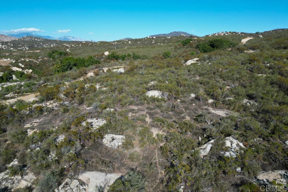 MLS #PTP2507282 image #45