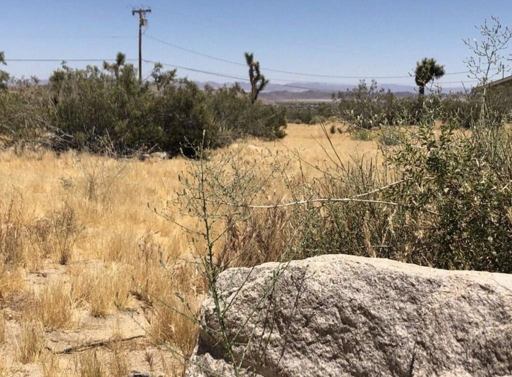 MLS #219139119PS image #7