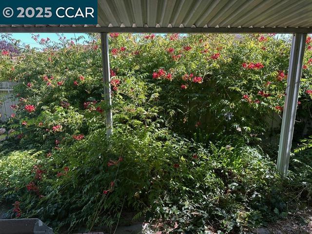35593 Cleremont Dr, Newark CA: https://media.crmls.org/mediaz/e2223dcb-1591-4efe-bdaf-d498324465f7.jpg