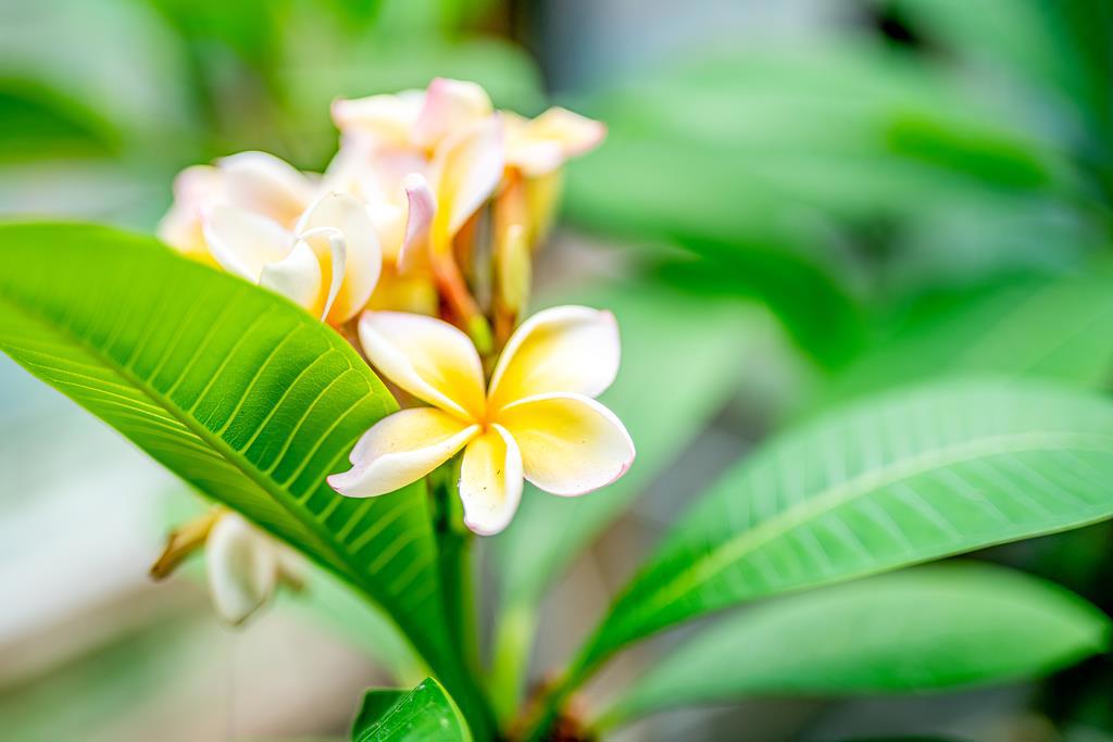 https://media.crmls.org/mediaz/e22953a5-f899-4de0-af8e-fc89d26dd65e.jpg?preset=X-Large