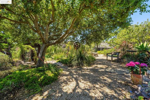 917 Avis Dr, El Cerrito CA: https://media.crmls.org/mediaz/e22a5060-a4a8-4dce-9fe8-832a61ec2583.jpg