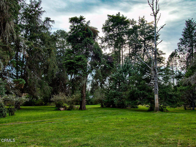 Detail Gallery Image 22 of 26 For 19100 Summers Ln, Fort Bragg,  CA 95437 - – Beds | – Baths