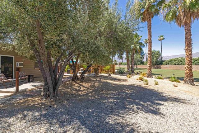Detail Gallery Image 39 of 48 For 1010 Palm Canyon Dr #294, Borrego Springs,  CA 92004 - 2 Beds | 2 Baths