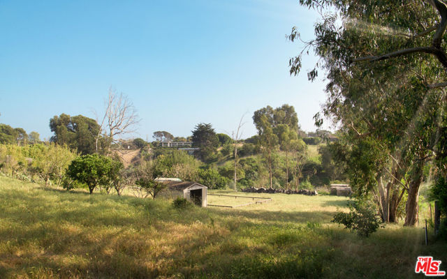 28926 Boniface Drive photo 8