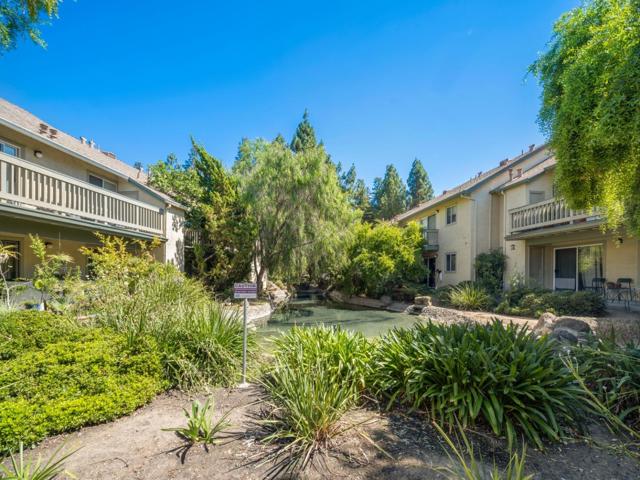 1068 Summerplace Drive, San Jose CA: https://media.crmls.org/mediaz/e2470791-89c5-48f3-ab6a-a4e8362bda64.jpg