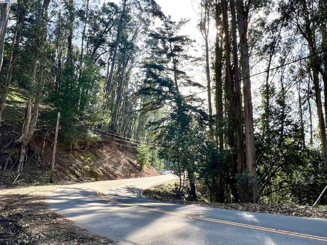 7590 Skyline Blvd, Oakland CA: https://media.crmls.org/mediaz/e2483fbc-a7b1-4a9a-8978-da32c25ea0da.jpg