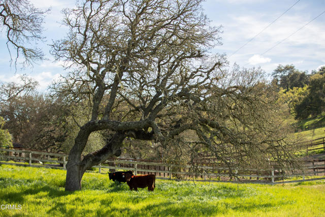 Detail Gallery Image 47 of 54 For 3570 Woodstock Rd, Santa Ynez,  CA 93460 - 6 Beds | 5/1 Baths