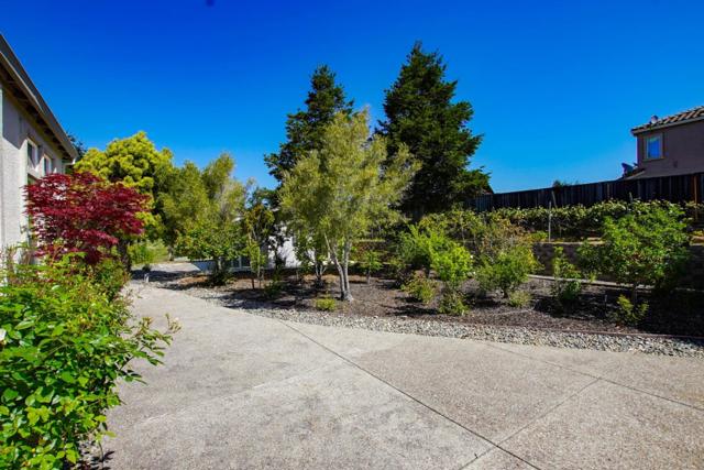 334 Paseo Gularte, San Juan Bautista CA: https://media.crmls.org/mediaz/e24d219a-558e-40b9-b852-1f1e55978f3f.jpg