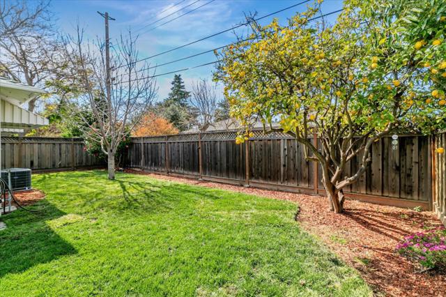 Image 40 of 48 For 493 Novato Avenue