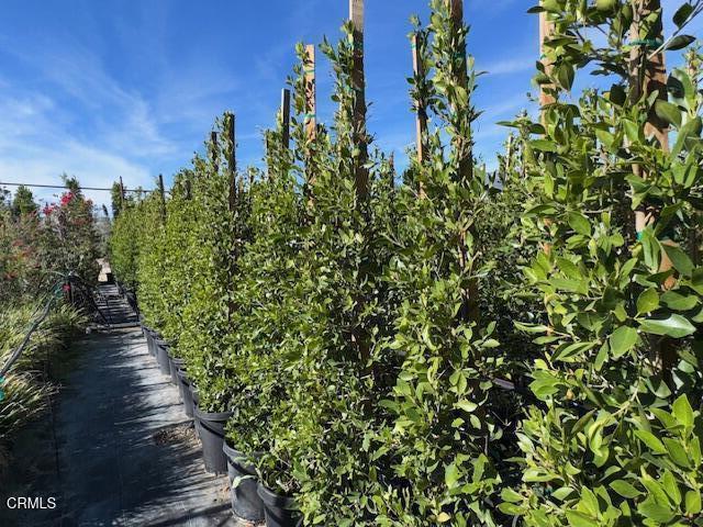 Detail Gallery Image 20 of 41 For 2245 California St, Fillmore,  CA 93015 - 2 Beds | 1 Baths